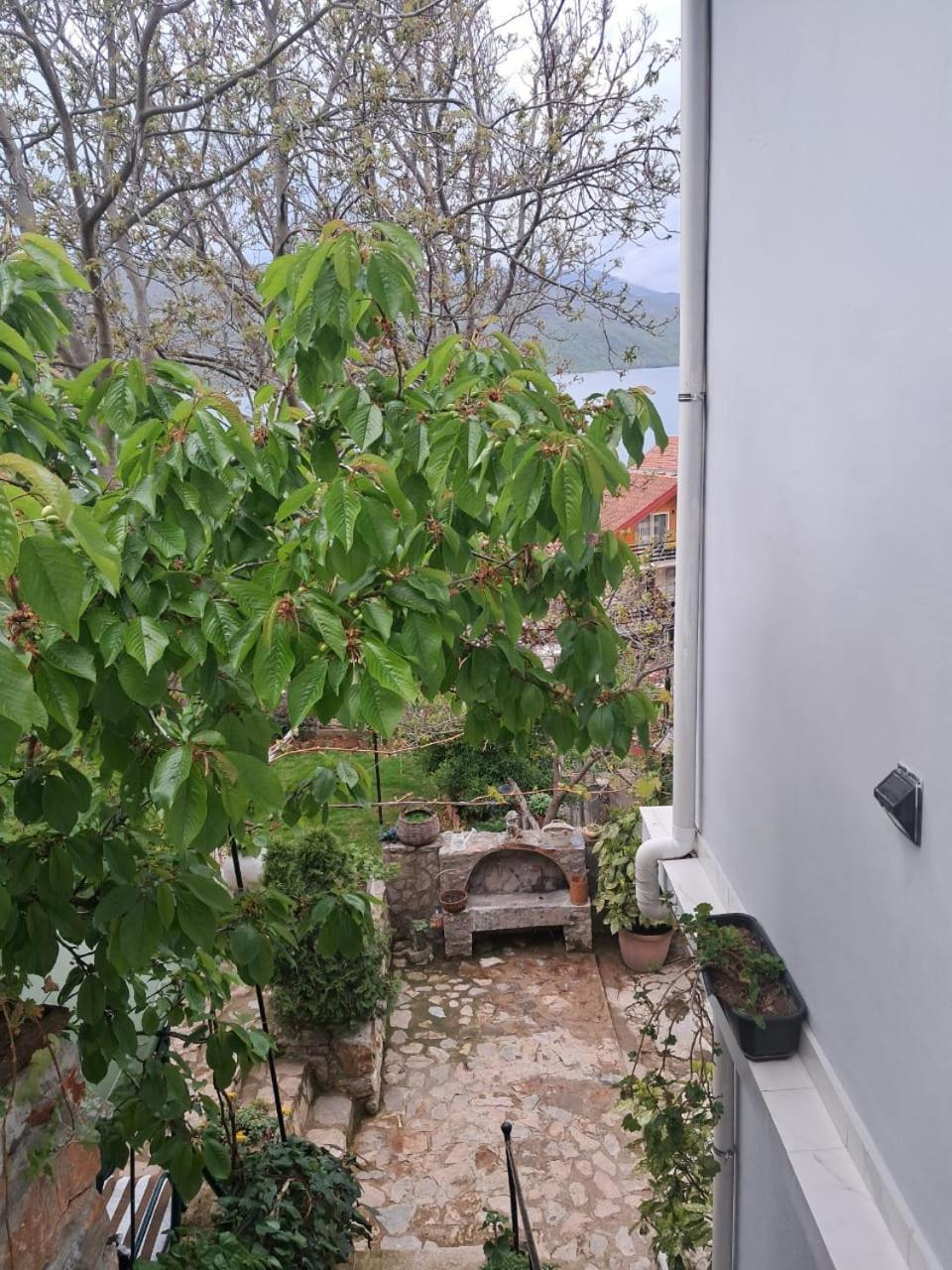 Roleo Guest House Lini Exteriör bild